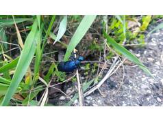 Setí za svitu měsíčního superúplňku